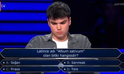 Milyoner’de Latince Bilmecesi! Allium Sativum Hangi Bitkidir?