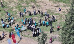 Balıkesir'de Yeşil Seferberlik! Susurluk'ta Binlerce Fidan Toprakla Buluştu!