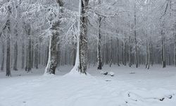 Bahar Beklerken Kış Geldi: Ardahan ve Tunceli'de Yoğun Kar Yağışı!