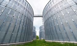 Kuzey Ege zeytinyağında tarihi adım... Lisanslı depoculukta yeni dönem