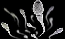 Türkiye'den de Katılım Var! İşte 100.000 Dolar Ödüllü Sıra Dışı Sperm Yarışmasının Detayları