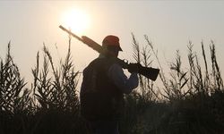 Milli Parklar Kanunu Değişti: Kaçak Avcılıkta Cezalar On Katına Çıktı, Yeni Kurallar Geldi!