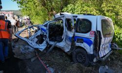 Bornova'da Zincirleme Kaza: Freni Patlayan Tır Dereye Devrildi