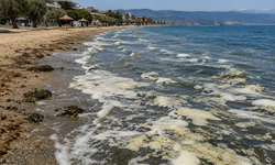 1 milyon tatilciye mi sevinelim, Körfez'in çöküşüne mi üzülelim?