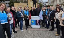 Balıkesir'e İstiklal Madalyası için yeni hamle: İYİ Parti kampanya başlattı