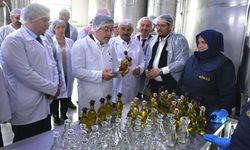 Bakan Yumaklı Ayvalık'ta Köklü Zeytincilik tesislerini inceledi