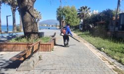 Erdek’te Temizlik Seferberliği: Ekipler Sahada