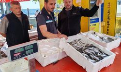 Marmara Adası'nda Balık Tezgahlarına Sıkı Denetim: Su Ürünleri Kontrolü Yapıldı