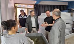 Türkiye'de Bir İlk Balıkesir'de Başarıldı! 120 Bin Adet Üretildi: Denizlerin "Doğal Filtresi" Ekonomiye Can Verecek
