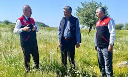 Hayvancılıkta Yem Maliyetini Düşürecek Adım: Karesi Halkapınar’da Mera Seferberliği!