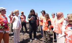 Burhaniye’de Geleceğe Nefes: TEMA Vakfı ve Belediyeden Pelitköy’de Fidan Dikim Seferberliği