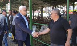 Burhaniye'de Bayram Hazırlığı: Başkan Deveciler Hayvan Pazarı'nı Ziyaret Etti
