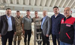 Canbey ve Aydemir Hayvan Pazarı'nda üreticilerin nabzını tuttu