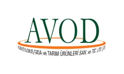 AVOD Hisseleri Neden Çakıldı? AVOD AŞ Sahibi Kim? Borsa İstanbul Gözaltı Kararları!