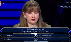 Milyoner'de 500 Bin TL'lik Soru: Dikkuyruk Hangi Hayvanın Türüdür?