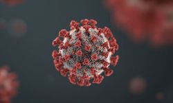 Yeni Pandemi Kapıda mı? Hantavirüs Nedir? Hantavirüs Belirtileri Nelerdir? İnsandan İnsana Bulaşır Mı?