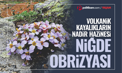 Volkanik kayalıkların nadir hazinesi: Niğde Obrizyası