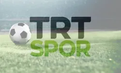 2026 Dünya Kupası Curaçao - Fildişi Sahili Maçı TRT Spor Frekans Bilgileri! Sinyal Yok Hatası Nasıl Çözülür?