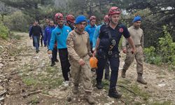 Edremit'te Ormanlık Alanda Acı Haber! Ekipler Seferber Olmuştu: Kayıp Şahıs Kayalıklar Arasında Ölü Bulundu!