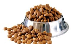 YETİŞKİN KÖPEK VE KEDİ MAMASI ALIMI