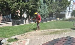 Bigadiç’te Temizlik ve Çevre Seferberliği: "Daha Sağlıklı Bir İlçe İçin Sahadayız"
