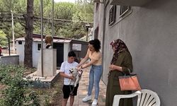 Gömeç’te Can Dostlara Mikroçip Güvencesi: Kayıt İşlemleri Sürüyor!