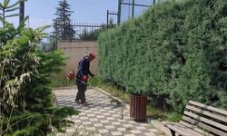 Dursunbey’de Yeşil Alanlarda Bakım Çalışmaları Hız Kesmiyor