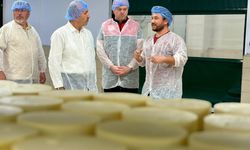 Balıkesir'de Süt Üretim Süreçlerinde Kalite Denetimi