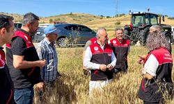 Hasat Öncesi Kritik Uyarı! Balıkesir'de Hububat Tarlalarında Süne Mücadelesi Sürüyor