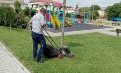 Kepsut Belediyesi hizmetlerini açıkladı! İşte 20 Haziran'da yapılan çalışmalar