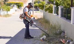 Burhaniye’de Temizlik Mesaisi: Yaz Sezonuyla Birlikte Çalışmalar Yoğunlaştı