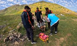 Siirt’te Kayıp Çoban 8 Kilometre Uzakta Bulundu: Umutlu Bekleyiş Mutlu Sonla Bitti!