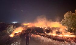 HATAY'DA KORKUTAN YANGIN! Kırıkhan'da Anız Ateşi Zeytinliklere Sıçradı: 200 Dönüm Arazi Zarar Gördü!