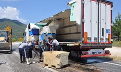 Mersin'de Tırın Dorsesi Kırıldı: Balık Atıkları Yola Saçıldı