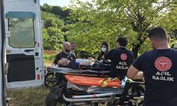 Sakarya'da Acı Olay: Ihlamur Toplamaya Giden 68 Yaşındaki Mustafa Bayrak Ölü Bulundu