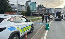 Rize'de Feci Trafik Kazası: Kamyonetin Çarptığı Demet Y. Hayatını Kaybetti! Sürücü Kaçtı