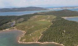 Ayvalık'ta ormanlık alanlara giriş yasağı!