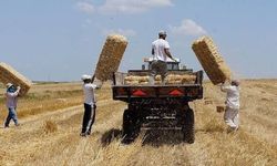 Tekirdağ'da Tarım Faaliyetlerine "Yangın" Engeli: 15 Günlük Yasak Başladı! Yasak Kapsamında Neler Var?