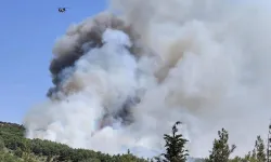 Çeşme’de Korkutan Yangın: Alaçatı'da Çöplükten Başlayan Alevler Makilik Alana Sıçradı!