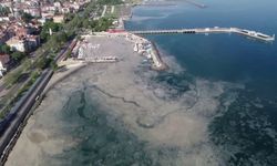 8 Haziran Marmara Denizi Günü: Marmara için zaman daralıyor