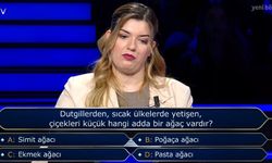 Milyoner'de İlginç Ağaç Sorusu! Dutgillerden Hangi Ağaç Vardır?