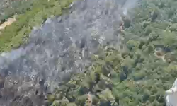 Balıkesir'de Korkutan Orman Yangını! Burhaniye Taylıeli'nde Ekipler Havadan ve Karadan Seferber Oldu!