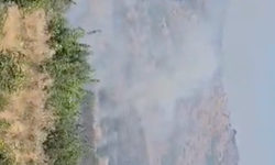 Balıkesir'de Korkutan Yangın! Sındırgı ile Bigadiç Arasındaki Alevlere Hızlı Müdahale!