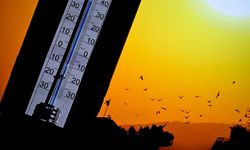 Süper El Nino Dalgası Yaklaşıyor! Hükümetler İçin Kritik 6 Ay Uyarısı: Gıda Güvenliği ve Küresel Ticaret Neden Tehlikede