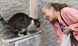 Can Dostlar Öksüz Kaldı! "Panter Emel" Lakaplı Yeşilçam Yıldızı Emel Yıldız Yaşamını Yitirdi! Panter Emel Neden Öldü?