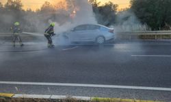 E87'de Araç Yangını Paniği! Gömeç'te İtfaiye Ekipleri Zamanla Yarıştı: İşte Yangından Gelen İlk Kareler!
