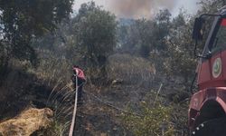 Son Dakika! Balıkesir Burhaniye’de Yangın Paniği! Ekipler Havadan ve Karadan Seferber Oldu!