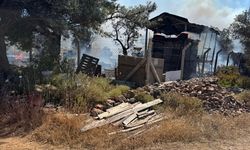 Ayvalık Cunda Adası’nda Korkutan Orman Yangını! Havadan ve Karadan Müdahaleyle Kabus Kontrol Altına Alındı!