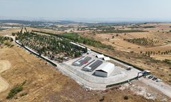 Altıeylül'ün Bakımevi ve Doğal Yaşam Alanı'nda son durum