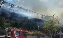 Maltepe'de Restoranda Yangın! Alevler İşletmeyi Sardı, İtfaiye Müdahalesi Sürüyor
